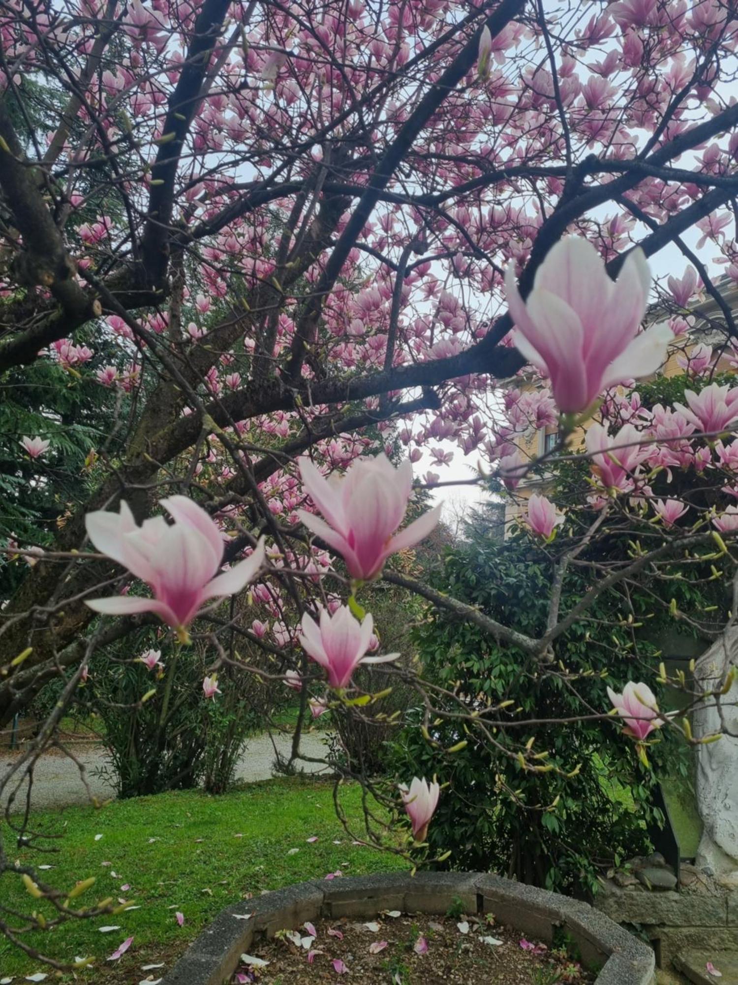 Villa San Giuseppe Passirano Dış mekan fotoğraf